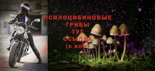 ECSTASY Баксан
