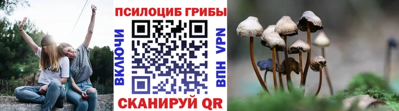ссылка на мегу ссылки  Ясногорск  Псилоцибиновые грибы Psilocybine cubensis 